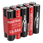 Industrial Alkaline Battery AAA / LR03 10 pcs. cardboard box
